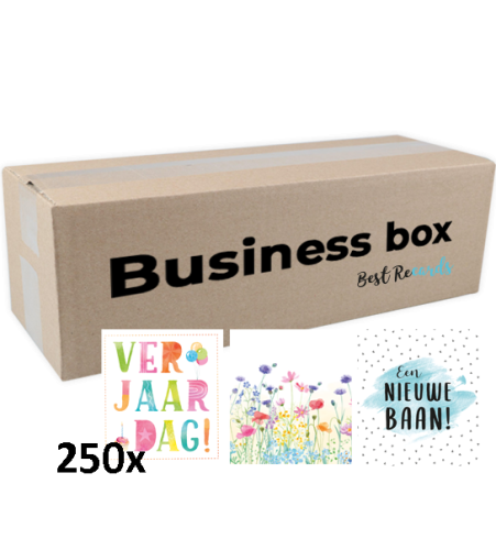 Business Box 250 stuks